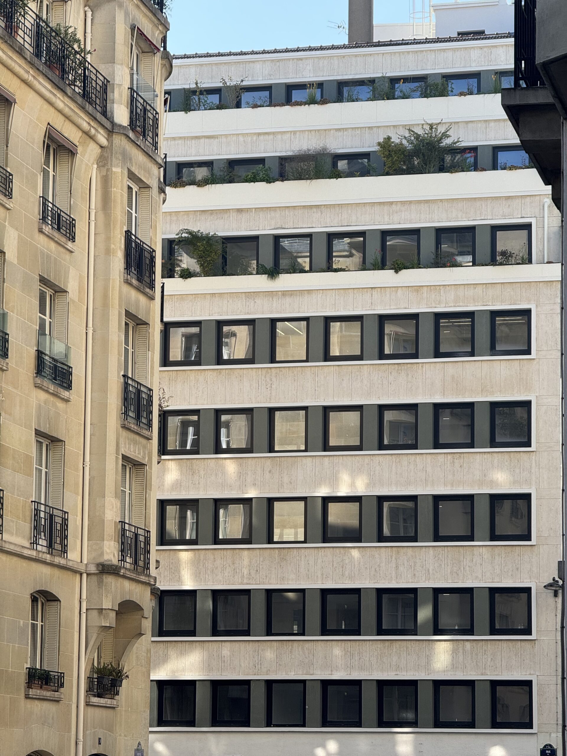 Rue de l'Université Paris